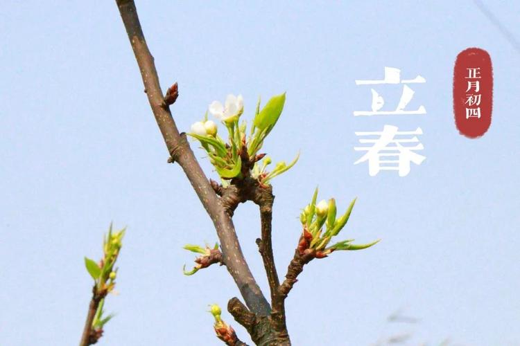 24节气今日立春