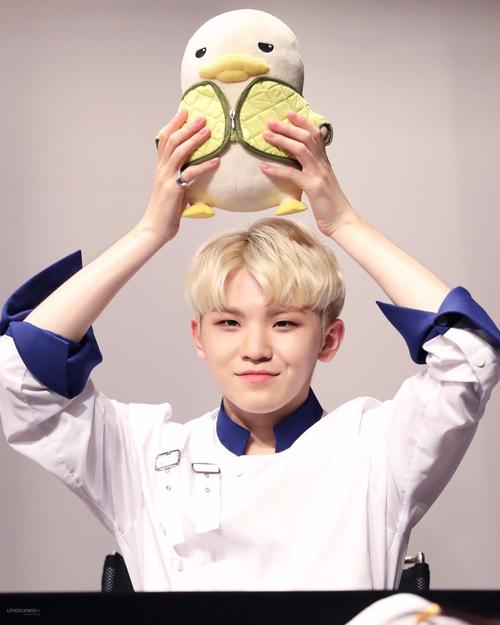 seventeen woozi李知勋