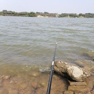 钓场 惠州钓场 东江 收费:免费东江天气预报
