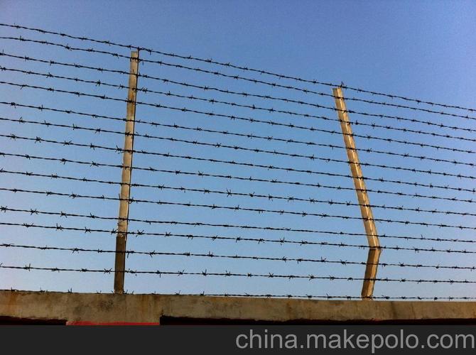 供应电镀锌普通刺绳/刺丝网/铁蒺藜/浸塑刺绳/刺绳护栏网图片,供应电