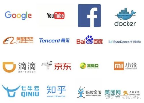 互联网大厂更多的是看重学历还是技术