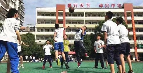 株洲市芦淞区体育路中学 株洲市第七中学 株洲市天元区尚格小学