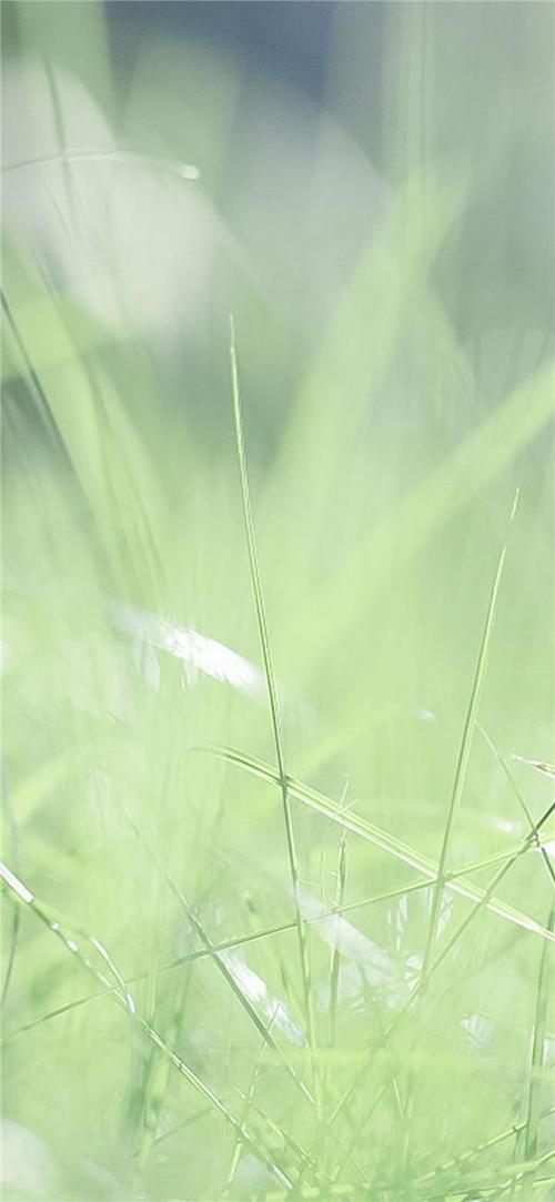 高清壁纸,清新,好看,风景,壁纸图片,手机 高清壁纸,意境,简约,唯美