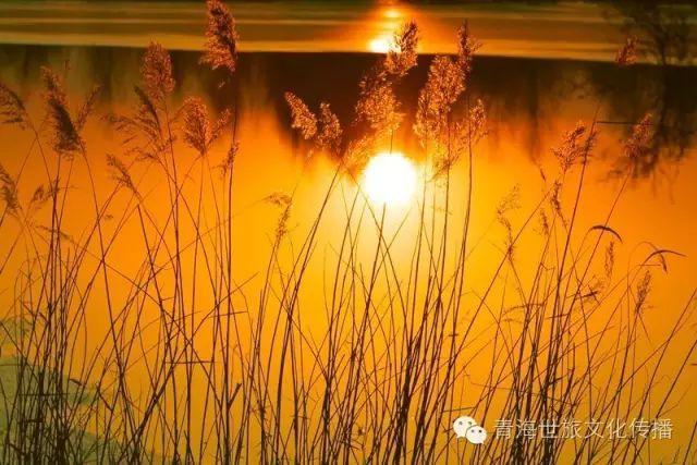贵德四季芊恣湖 带给您不同凡响的美丽