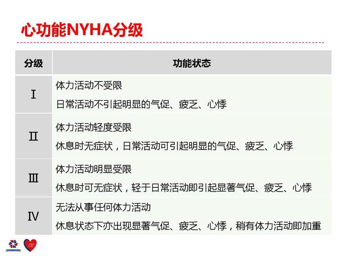 所有分类 医药卫生 临床医学 心力衰竭培训课件ppt 心功能nyha分级