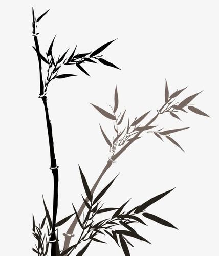 画竹子在用色方面需要注意些什么画国画竹子需要注意的问题