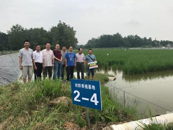 新品水稻●全程机械化种植●虾稻种养结合模式——专家领导现场点评