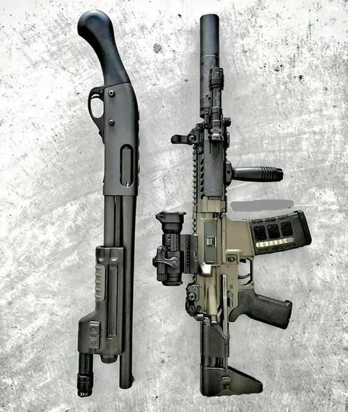 枪械欣赏系列,经典步枪图一组,ar15和马林杠杆真的帅
