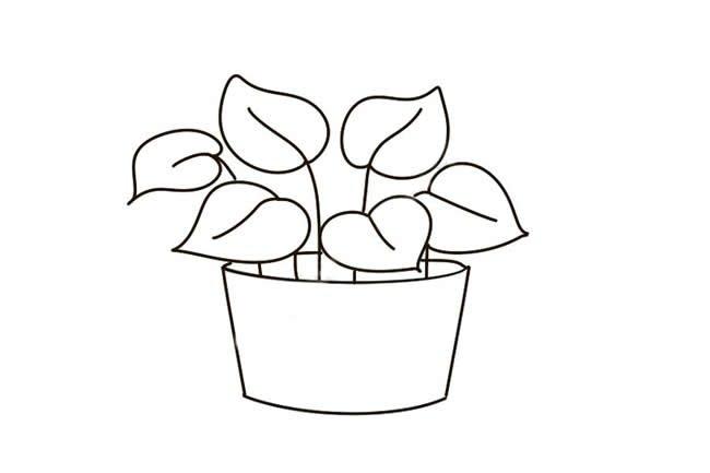 绿萝简笔画彩色图片-儿童简笔画大全