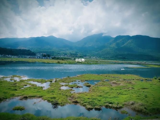 腾冲北海湿地公园_湿地公园_秋千_马鞭草_宁静_逃离城市计划_出行