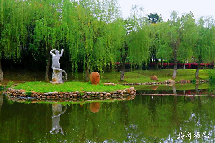 随州论坛 _ 绿意白云公园 - 阳光快门 - app客户端版