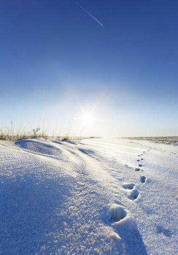 雪堆