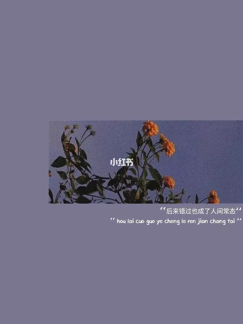 森系背景图_森女系_朋友圈_朋友圈背景图_素材_壁纸