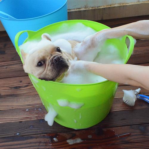 法斗巴哥泰迪猫咪泡泡浴桶浴盆药浴桶大号宠物狗犬洗澡泡澡狗狗