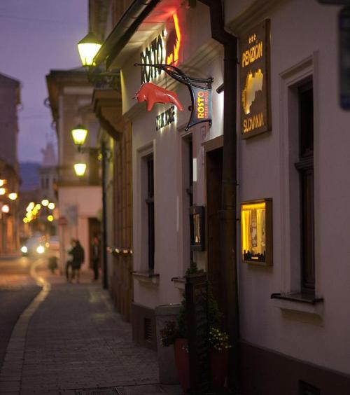 斯洛伐克精品民宿酒店 (penzion slovakia)