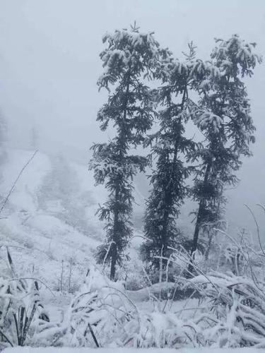 温州最美的雪景都在这里!启动冰冻预警