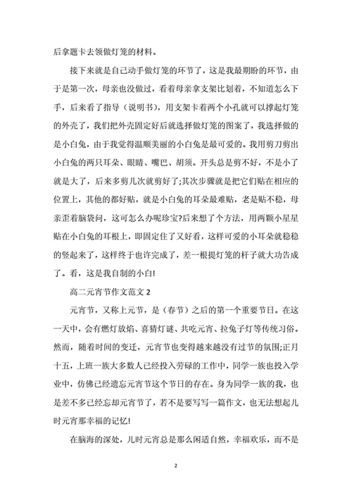 高二元宵节作文范文5篇docx8页
