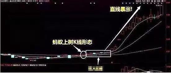 一位天津股市天才透漏:"蚂蚁上树"擒拿黑马股,今天就教会你