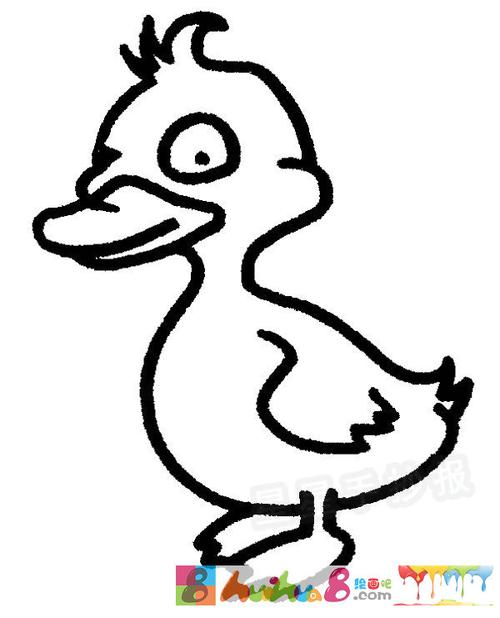 鸭子简笔画图片