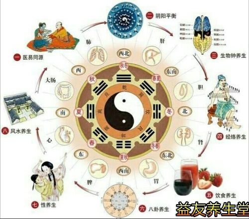 养生图片一一五行阴阳八卦