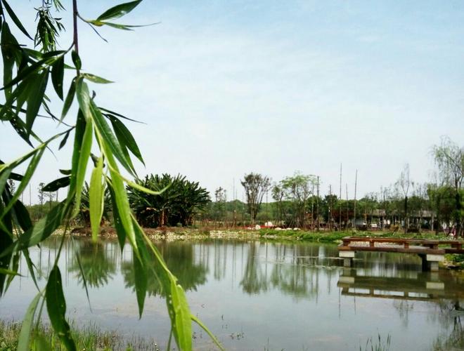 成都十陵青龙湖湿地公园