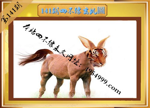 com,正版四不像,四不像高手论坛,心水