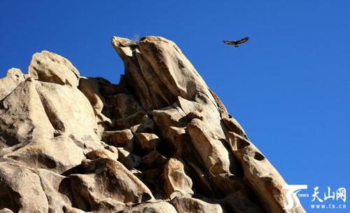 【高清组图】巴里坤县怪石山千奇百怪惟妙惟肖