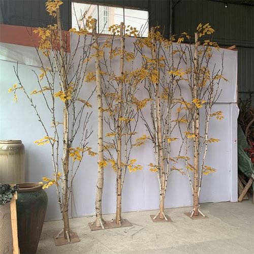 干树枝白桦树隔断假树枝干装饰白桦木屏风造型树枯树室内摆放干枝