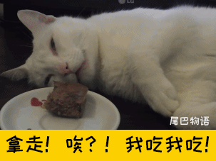 叫兽的主子曾经闹脾气,为了吃零食一度绝食4天把自己给饿晕,最后还是