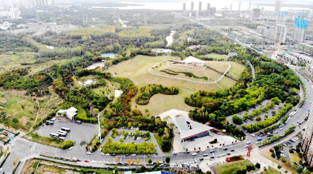 庐州公园内有25米高的地标山,滑板公园,婚礼花园,儿童乐园……一半