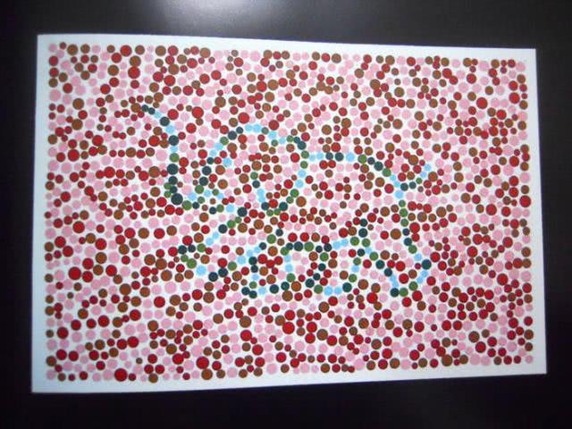 4张驾考色盲自测图若能认出图4的动物说明你视力没问题