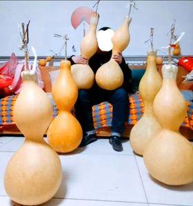 葫芦籽种巨型超大特大