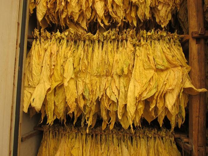 提升服务水平促进高质量发展