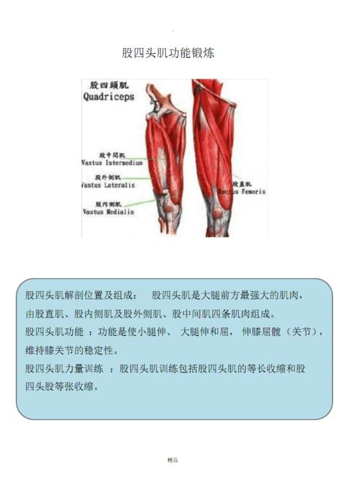 股四头肌锻炼pdf3页