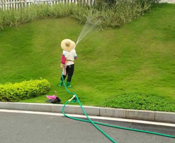 肥西县城市园林绿化养护费用