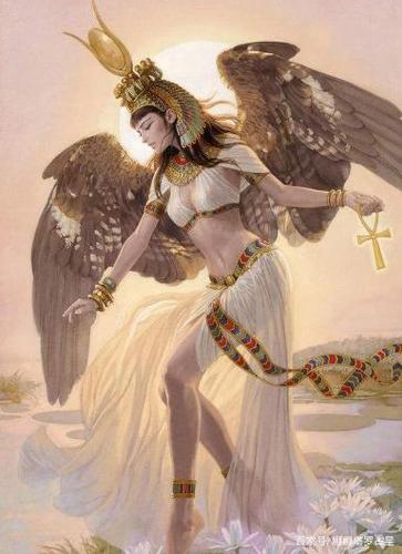 为什么塔罗中的女祭司是比较被动,充满智慧但又平静的一个女性形象了