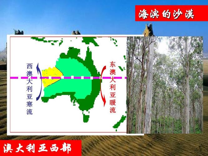 海滨的沙漠 西 澳 大 利 亚 寒 流 东 澳 大 利 亚 暖 流 澳大利亚