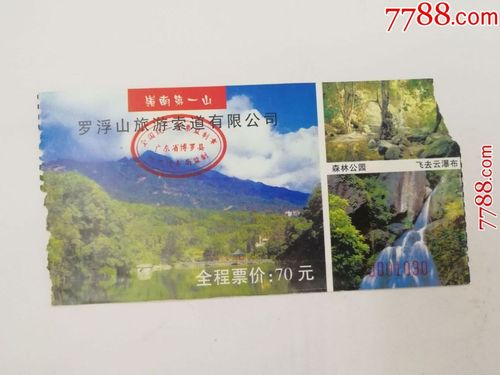 广东惠州罗浮山门票(收藏用)