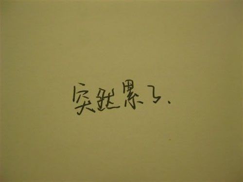 超伤感句子|情债|细节|养花|我的人生_网易订阅