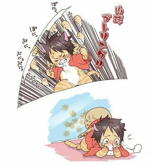 海贼王:当路飞变成猫咪后,发动橡胶喵喵拳,罗被萨博艾斯孤立
