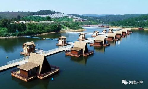 送500元别墅券一张现场更多优惠活动,等你来关雎有机野鱼免费