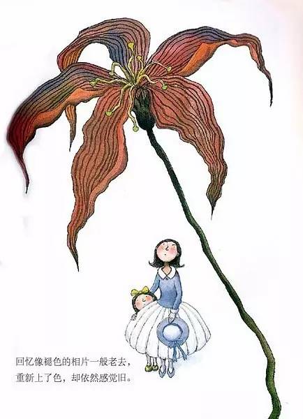 几米绘本《照相本子》(下)