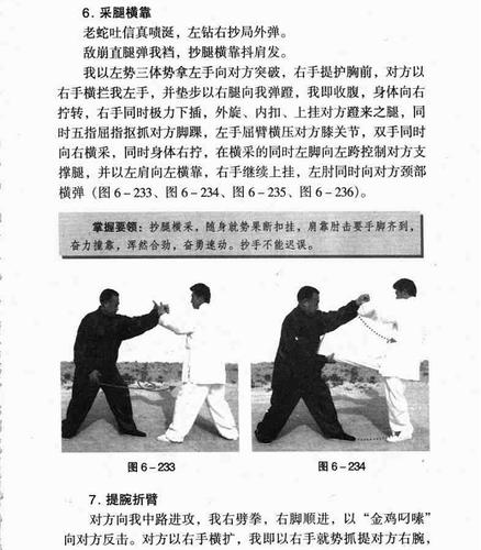 蛇形拳在搏击中的应用