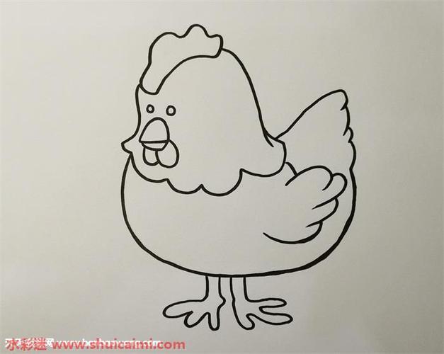 母鸡怎么画母鸡简笔画彩色