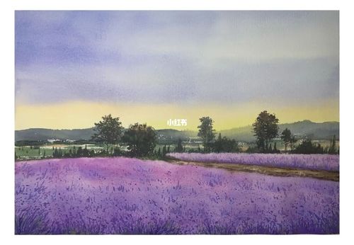 水彩画 霍城薰衣草_水彩画_风景_水彩风景_人文_绘画