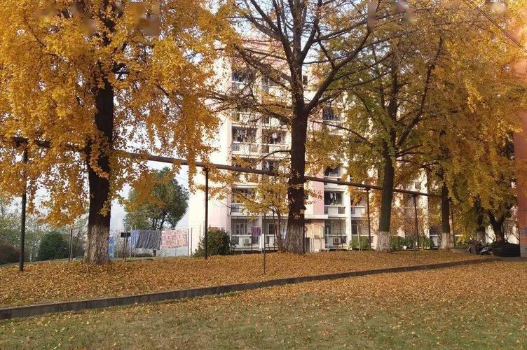 江苏科技大学搬新家!西校区,南校区终将成为回忆