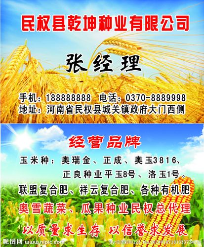 小麦玉米种子名片图片