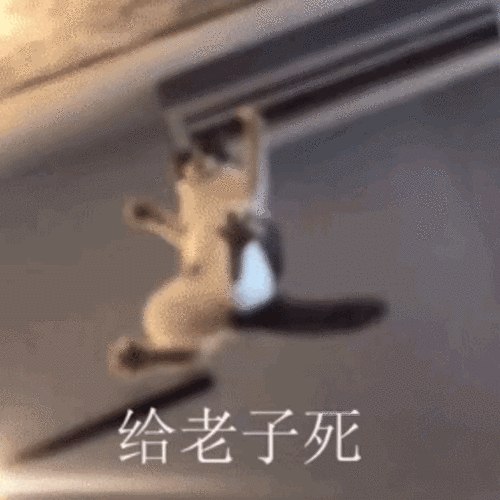 gif 给老子死