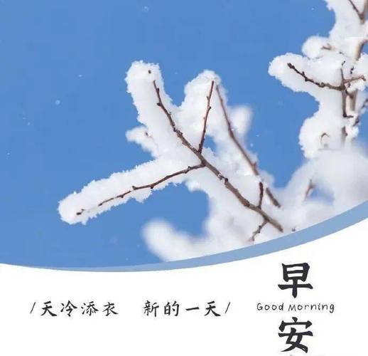 早安正能量语录