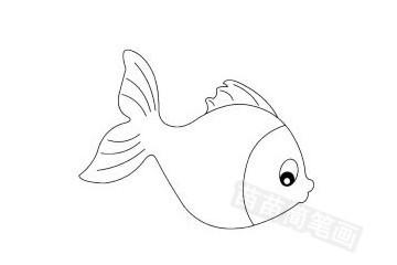 金鱼简笔画图片大全,画法